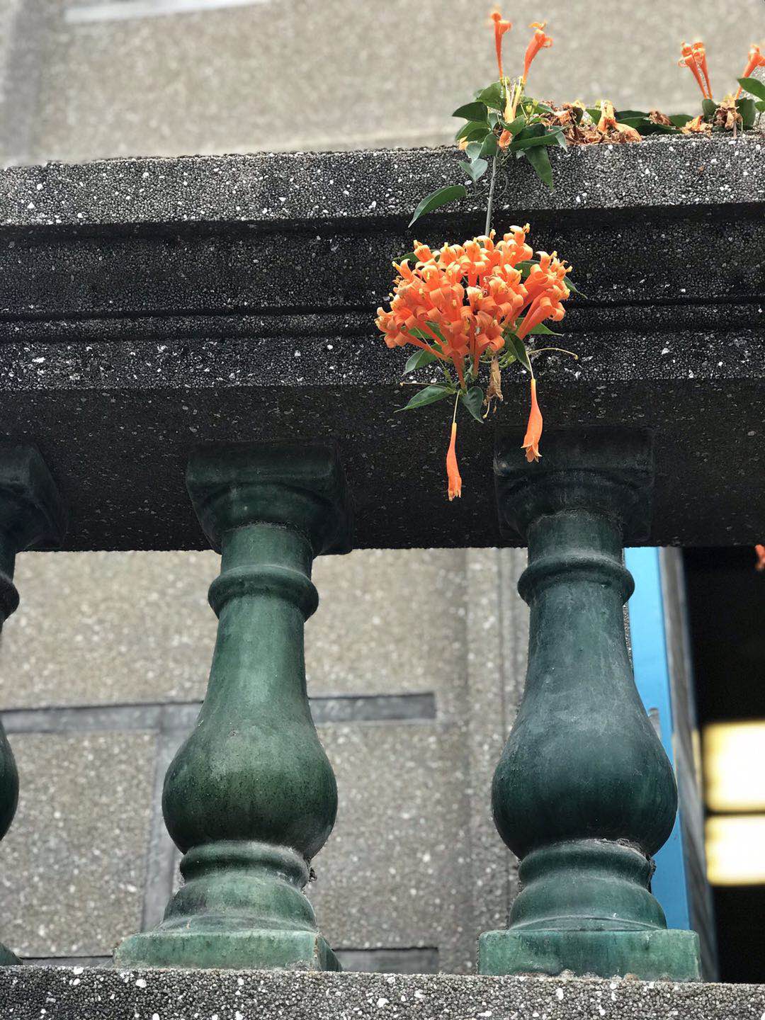 1551752544393908.jpg 1551752544393908.jpg